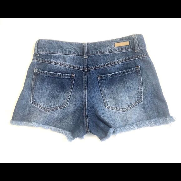 True Craft Mid Rise Festival Jean - Picture 4 of 7